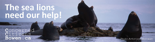 save the sea lions!